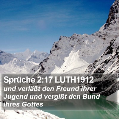 Sprüche 2:17 LUTH1912 Bible Verse Image