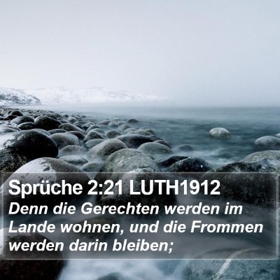 Sprüche 2:21 LUTH1912 Bible Verse Image