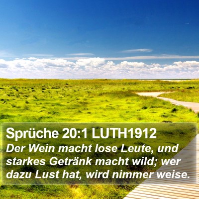 Sprüche 20:1 LUTH1912 Bible Verse Image
