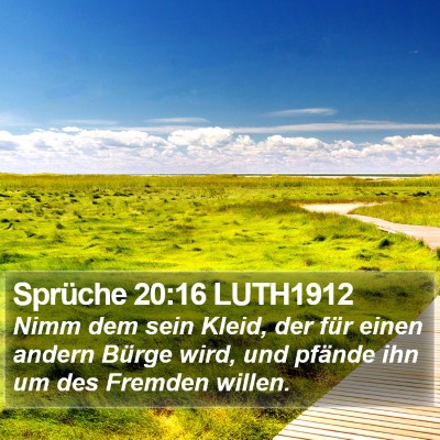 Sprüche 20:16 LUTH1912 Bible Verse Image