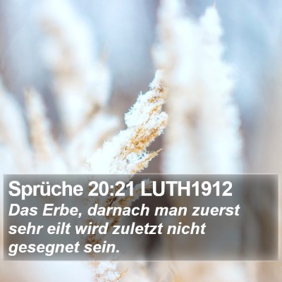 Sprüche 20:21 LUTH1912 Bible Verse Image