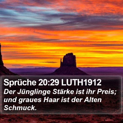 Sprüche 20:29 LUTH1912 Bible Verse Image