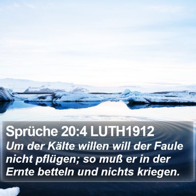 Sprüche 20:4 LUTH1912 Bible Verse Image