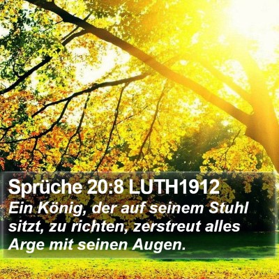 Sprüche 20:8 LUTH1912 Bible Verse Image