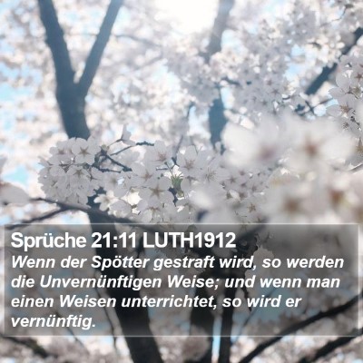 Sprüche 21:11 LUTH1912 Bible Verse Image
