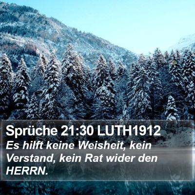 Sprüche 21:30 LUTH1912 Bible Verse Image