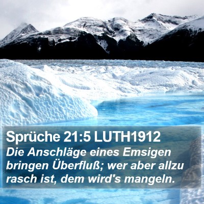 Sprüche 21:5 LUTH1912 Bible Verse Image