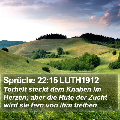 Sprüche 22:15 LUTH1912 Bible Verse Image