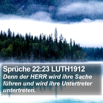 Sprüche 22:23 LUTH1912 Bible Verse Image
