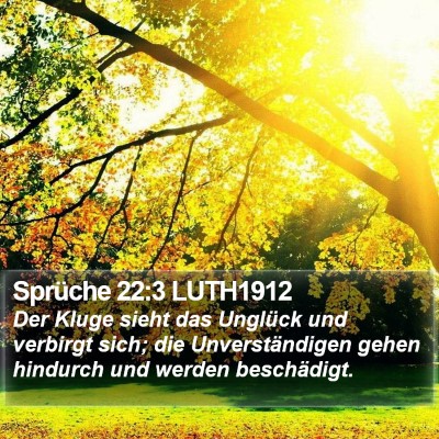 Sprüche 22:3 LUTH1912 Bible Verse Image