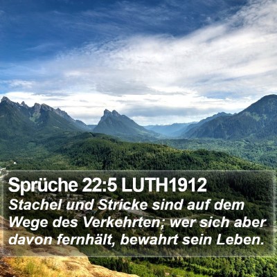 Sprüche 22:5 LUTH1912 Bible Verse Image