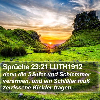 Sprüche 23:21 LUTH1912 Bible Verse Image