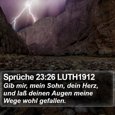Sprüche 23:26 LUTH1912 Bible Verse Image