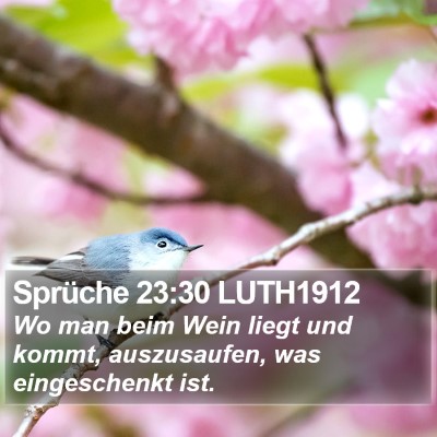 Sprüche 23:30 LUTH1912 Bible Verse Image