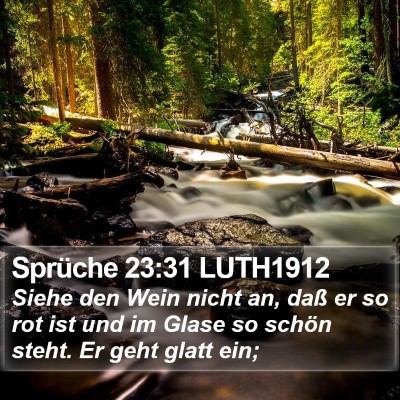 Sprüche 23:31 LUTH1912 Bible Verse Image