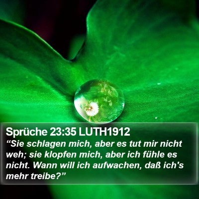 Sprüche 23:35 LUTH1912 Bible Verse Image