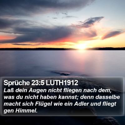 Sprüche 23:5 LUTH1912 Bible Verse Image