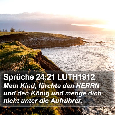 Sprüche 24:21 LUTH1912 Bible Verse Image