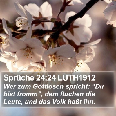 Sprüche 24:24 LUTH1912 Bible Verse Image