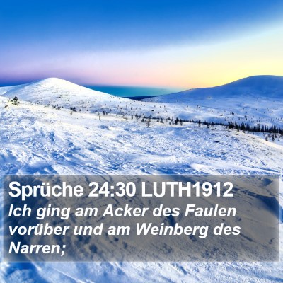 Sprüche 24:30 LUTH1912 Bible Verse Image