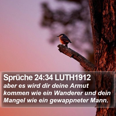 Sprüche 24:34 LUTH1912 Bible Verse Image
