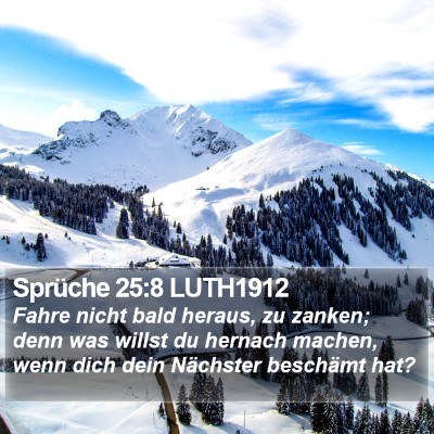 Sprüche 25:8 LUTH1912 Bible Verse Image