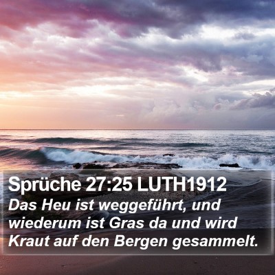 Sprüche 27:25 LUTH1912 Bible Verse Image