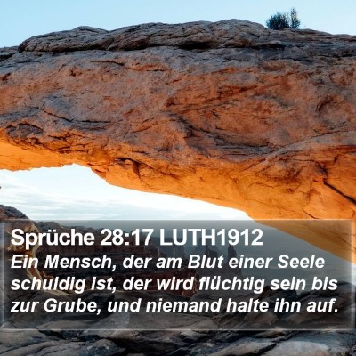 Sprüche 28:17 LUTH1912 Bible Verse Image