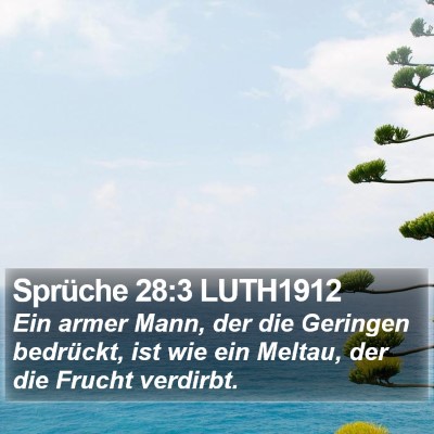 Sprüche 28:3 LUTH1912 Bible Verse Image