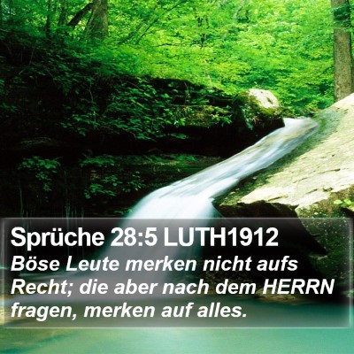 Sprüche 28:5 LUTH1912 Bible Verse Image