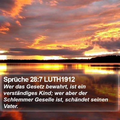 Sprüche 28:7 LUTH1912 Bible Verse Image