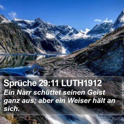 Sprüche 29:11 LUTH1912 Bible Verse Image