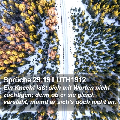 Sprüche 29:19 LUTH1912 Bible Verse Image
