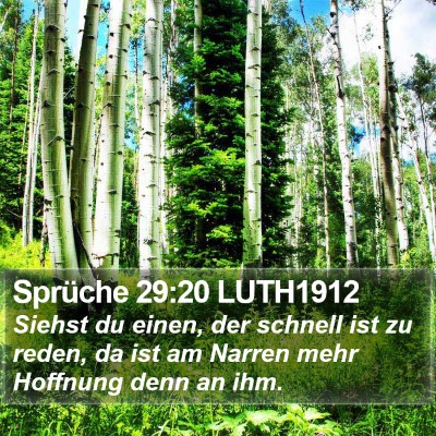 Sprüche 29:20 LUTH1912 Bible Verse Image