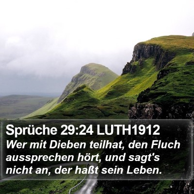 Sprüche 29:24 LUTH1912 Bible Verse Image