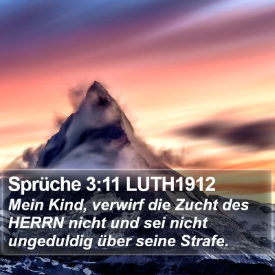Sprüche 3:11 LUTH1912 Bible Verse Image