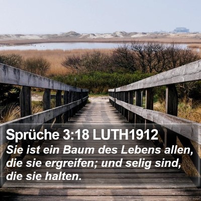 Sprüche 3:18 LUTH1912 Bible Verse Image