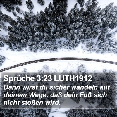 Sprüche 3:23 LUTH1912 Bible Verse Image