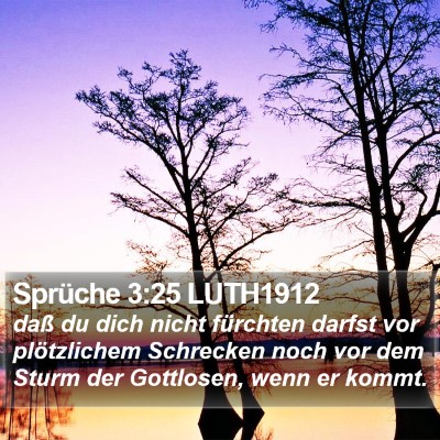 Sprüche 3:25 LUTH1912 Bible Verse Image