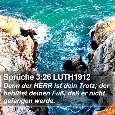 Sprüche 3:26 LUTH1912 Bible Verse Image