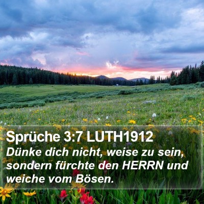 Sprüche 3:7 LUTH1912 Bible Verse Image