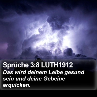 Sprüche 3:8 LUTH1912 Bible Verse Image