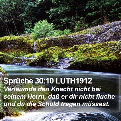 Sprüche 30:10 LUTH1912 Bible Verse Image