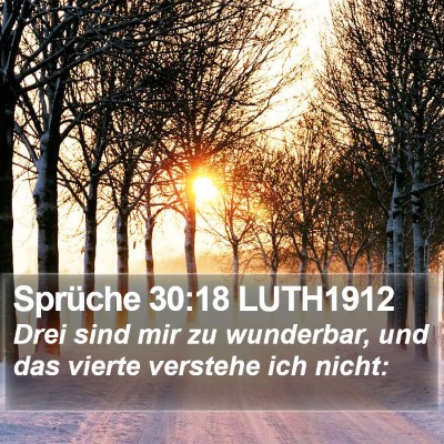 Sprüche 30:18 LUTH1912 Bible Verse Image