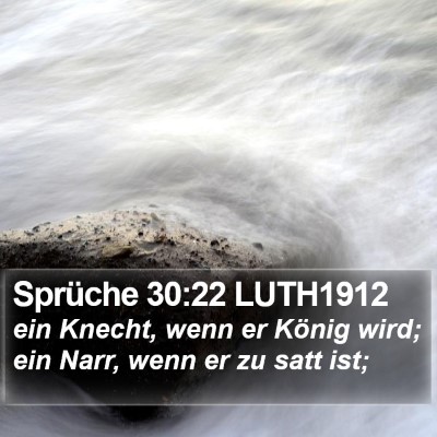 Sprüche 30:22 LUTH1912 Bible Verse Image
