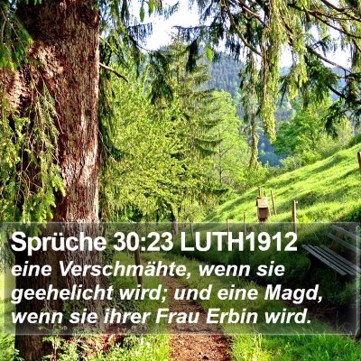Sprüche 30:23 LUTH1912 Bible Verse Image