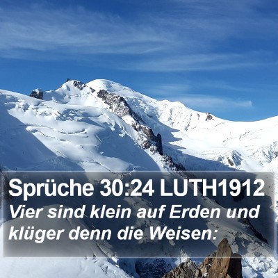 Sprüche 30:24 LUTH1912 Bible Verse Image