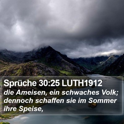 Sprüche 30:25 LUTH1912 Bible Verse Image