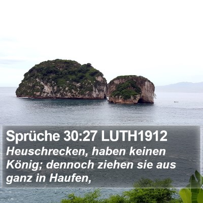 Sprüche 30:27 LUTH1912 Bible Verse Image