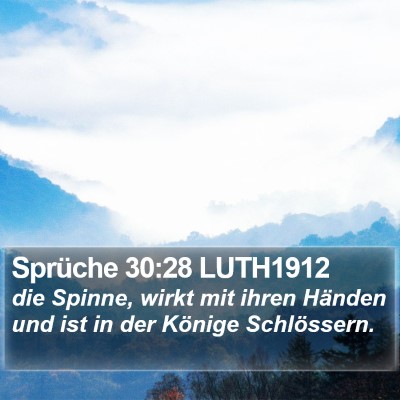 Sprüche 30:28 LUTH1912 Bible Verse Image